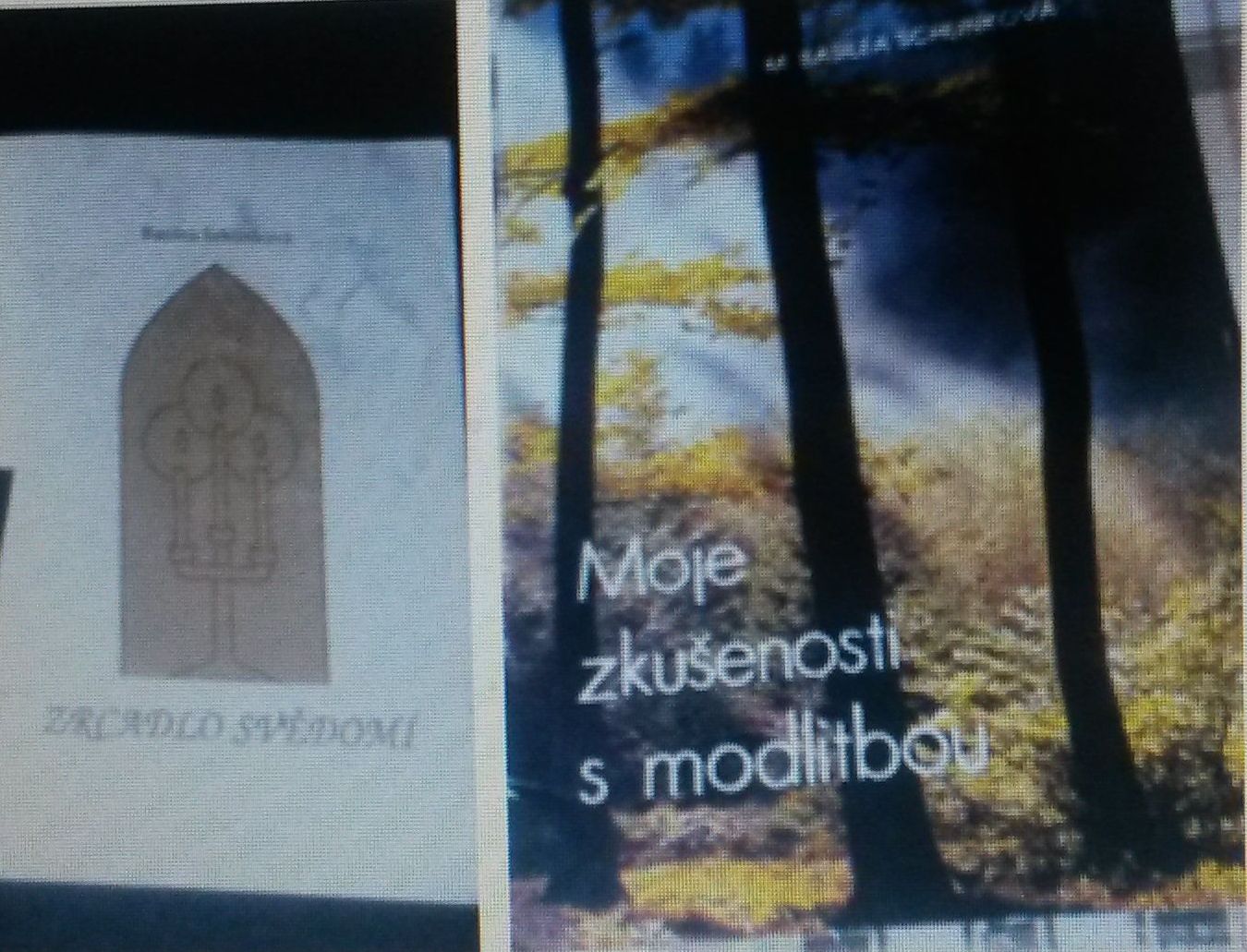 B. Schlink -  Zrcadlo svědomí, Moje zkušenosti s modlitbou